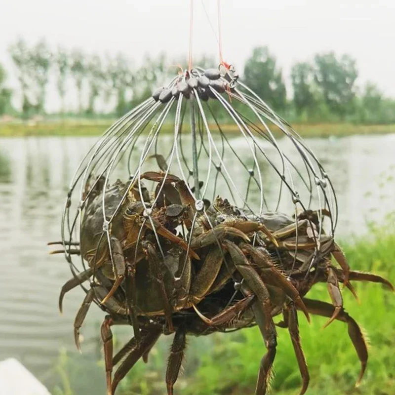 

Fishing Net Cage Automatic Open Closing Fishing Crab Trap Net Steel Wire for Saltwater Seawater Outdoor Fishing Accessories