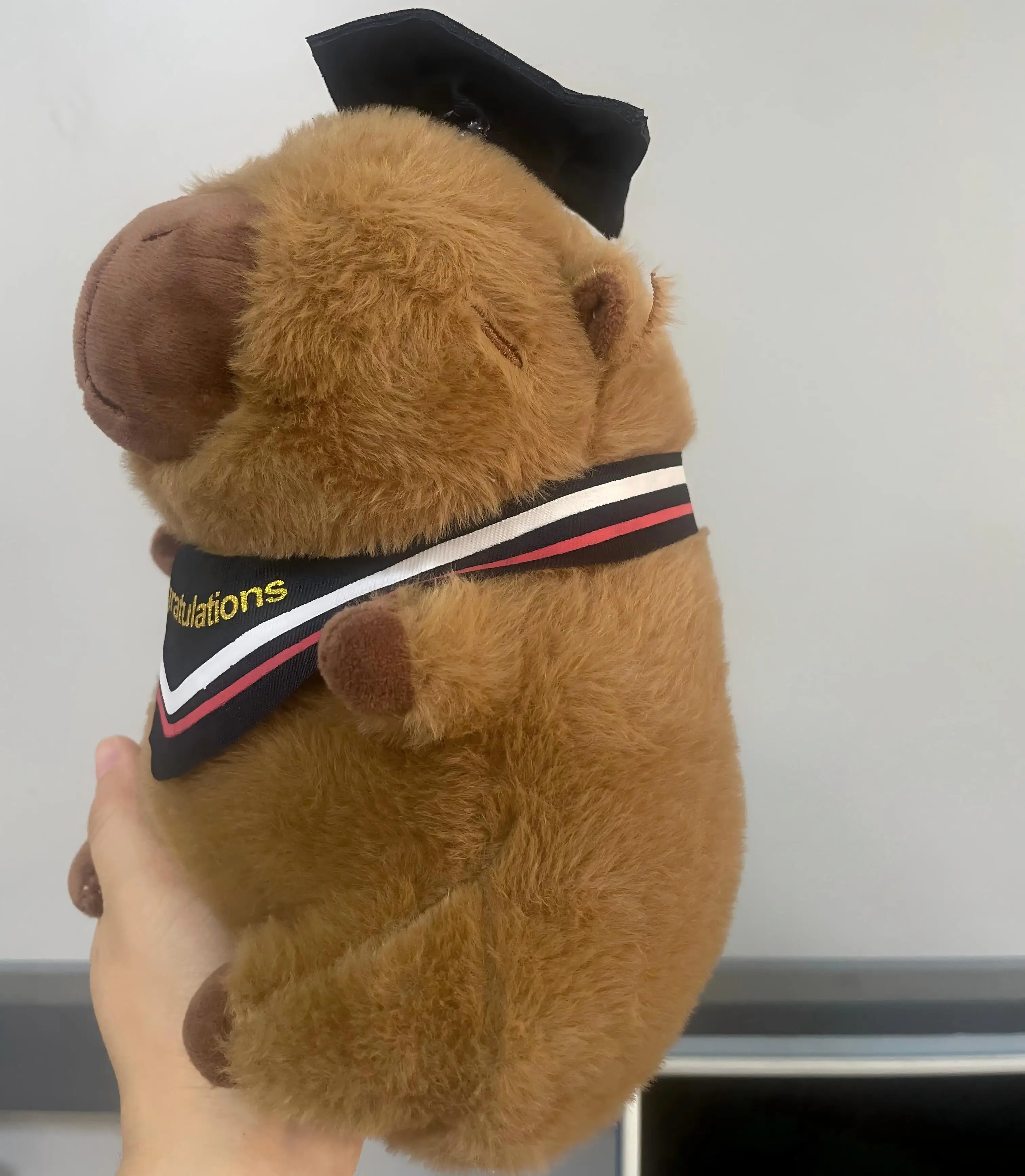 23 cm Abschluss-Capybara-Plüschpuppe, Stofftier, Doktormütze, Abschluss-Plüschtier, Abschlussgeschenk für Studenten