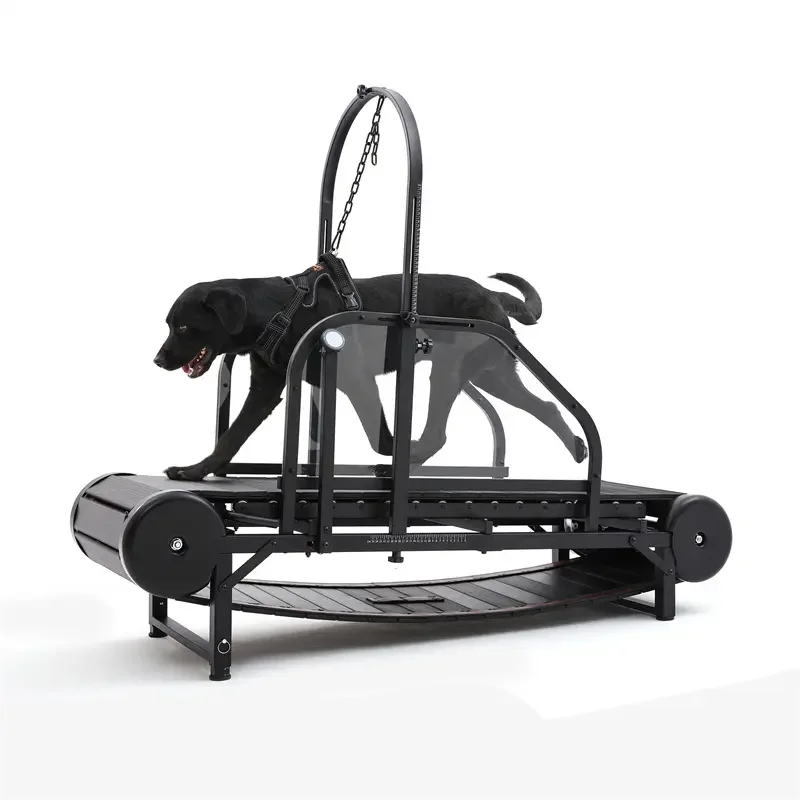 

Non-Electric Doggy Exercise Treadmill Outdoor Sport Slatmill For Dogs Training Pet Training Supplies