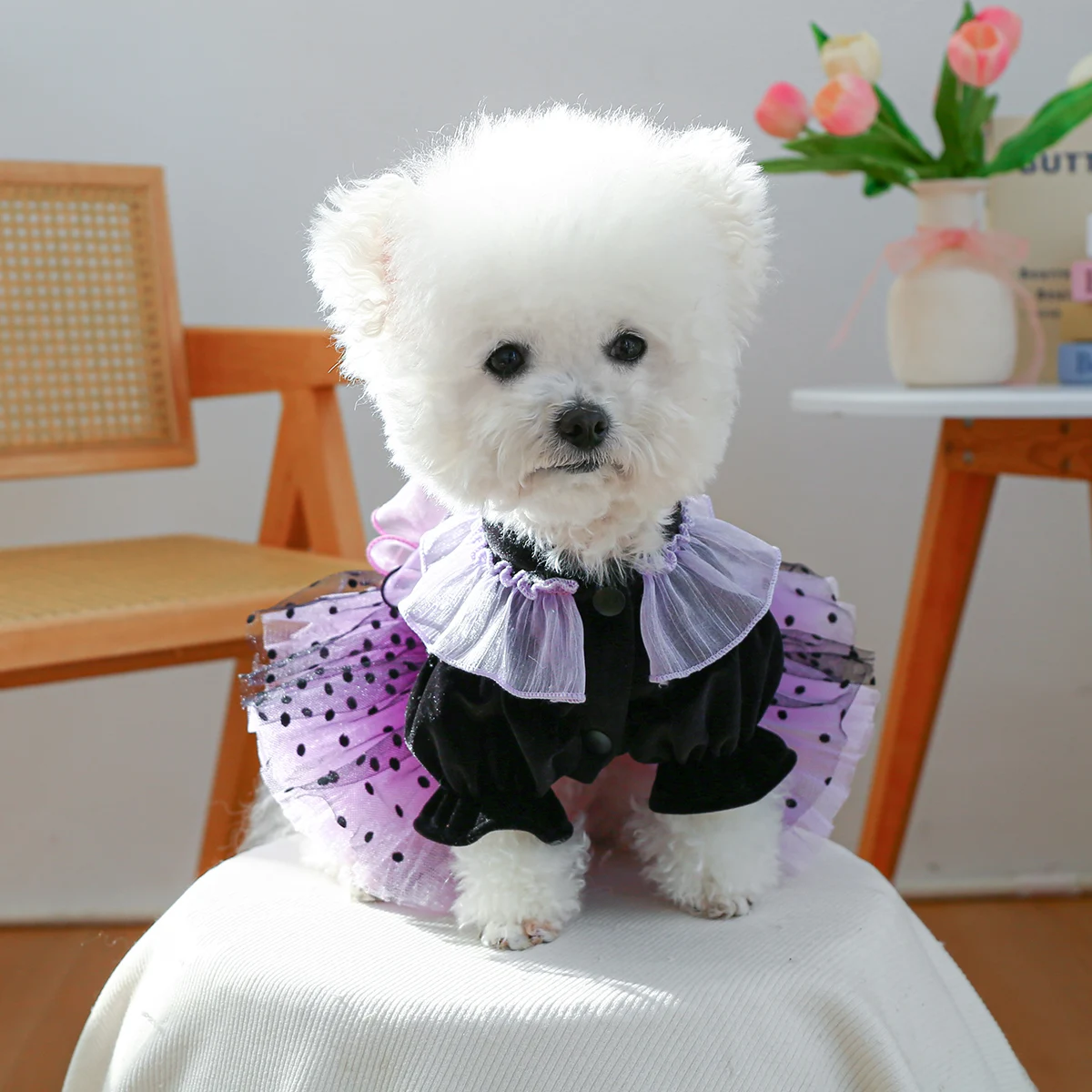Magic Elf Tutu Pet Clothes Dog Cat Cat Haute Couture Wedding Dress Princess Dress