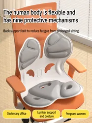 Student and Child Seat Cushion Correction Sitting Posture Office Waist Protection Cushion