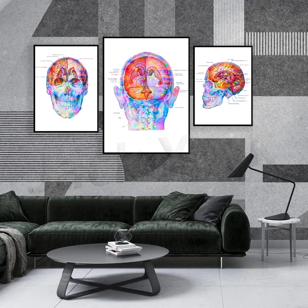 Cranio Cerebral Topography Poster Anatomy Art Anatomical Brain Print Medical Art Neurology Print Clinic Decor Neurologist Gift