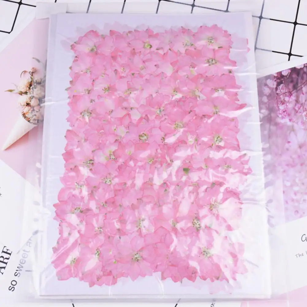 12Pcs Dried Flowers Epoxy Resin DIY Creation Dried Pressed Flowers DIY Jewelry Mobile Phone Shell Flower Sticker Nail Art