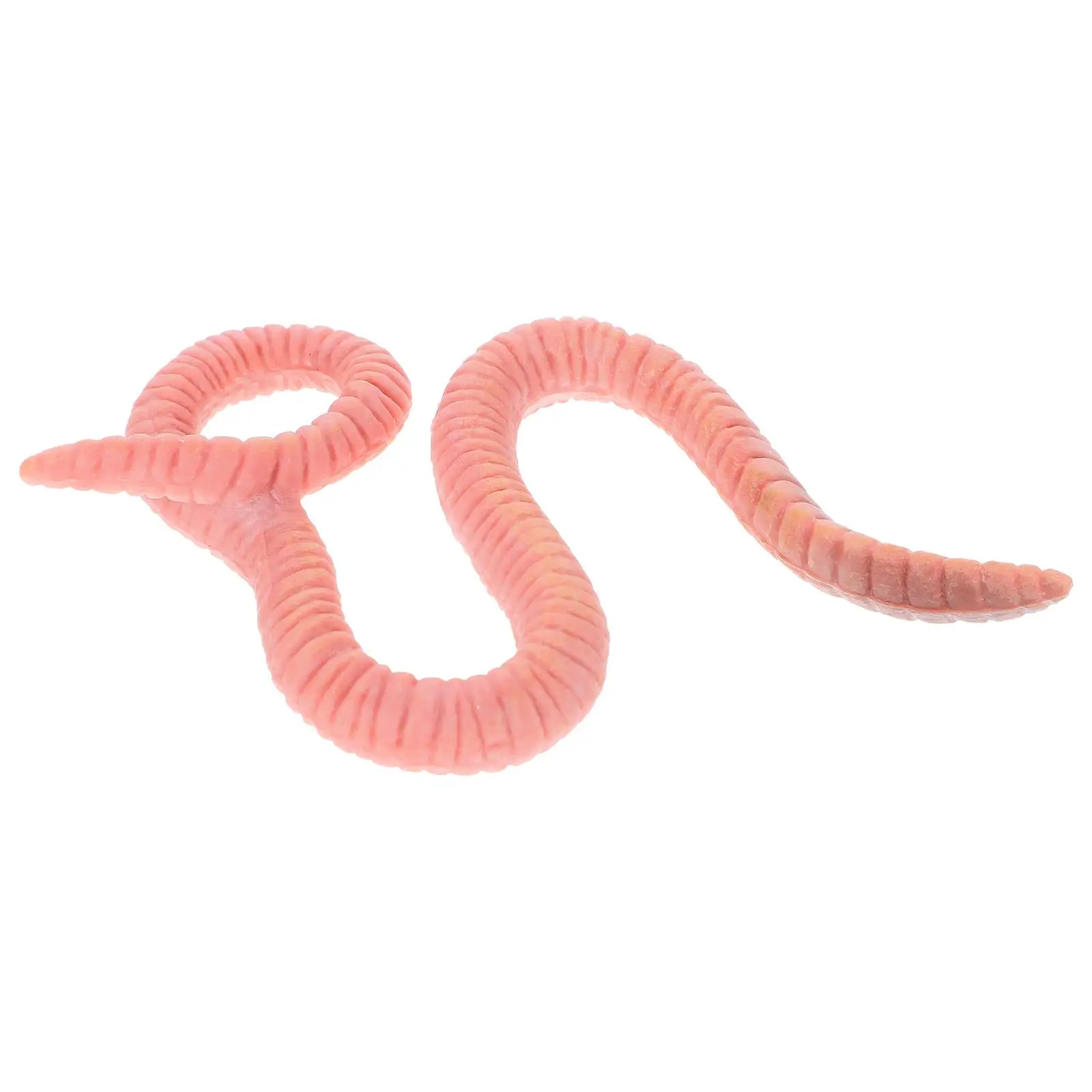 Toy Earthworm Model Simulation Insect Plastic Artificial Ornament Figurines Child