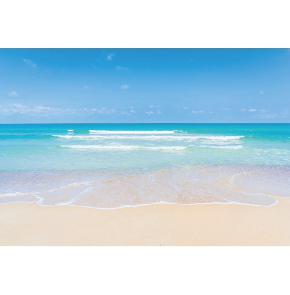 Sea Backdrop Seaside Beach Ocean Blue Sky White Clouds Coconut Tree Birthday Party Wedding Photography Background Photozone Prop