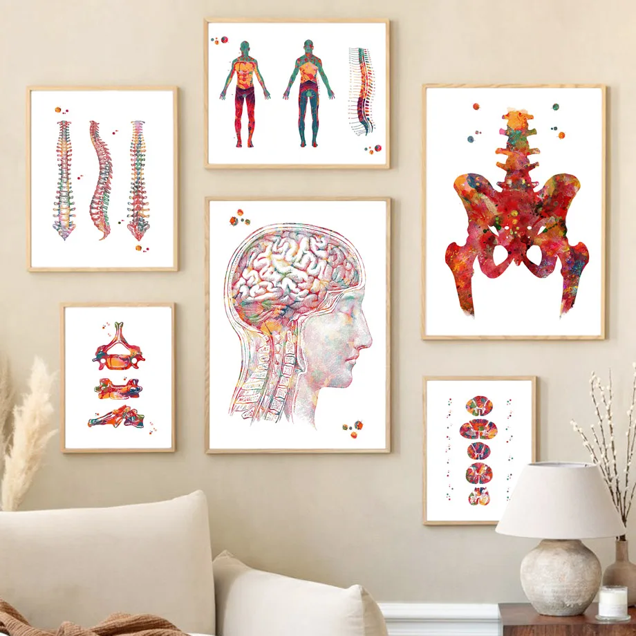 Human Spine Vertebrae Orthopedy Anatomy Nerve Wall Art Canvas Painting Nordic Posters And Print Wall Pictures For Hospital Decor