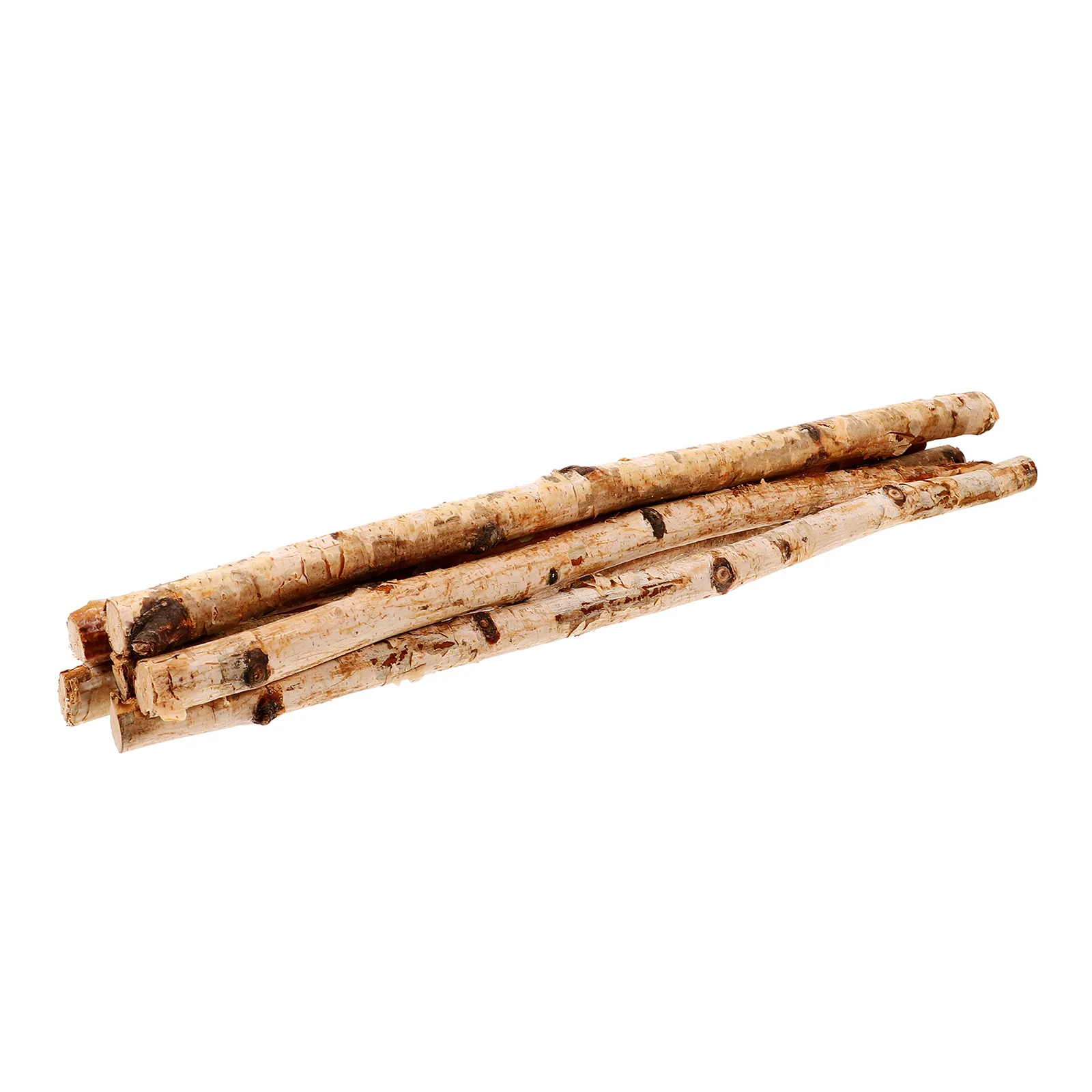 

6 Pcs Jumbo Ornaments Natural Wood Stick Sticks Decorative White Birch Dry Branches Durable DIY Craft