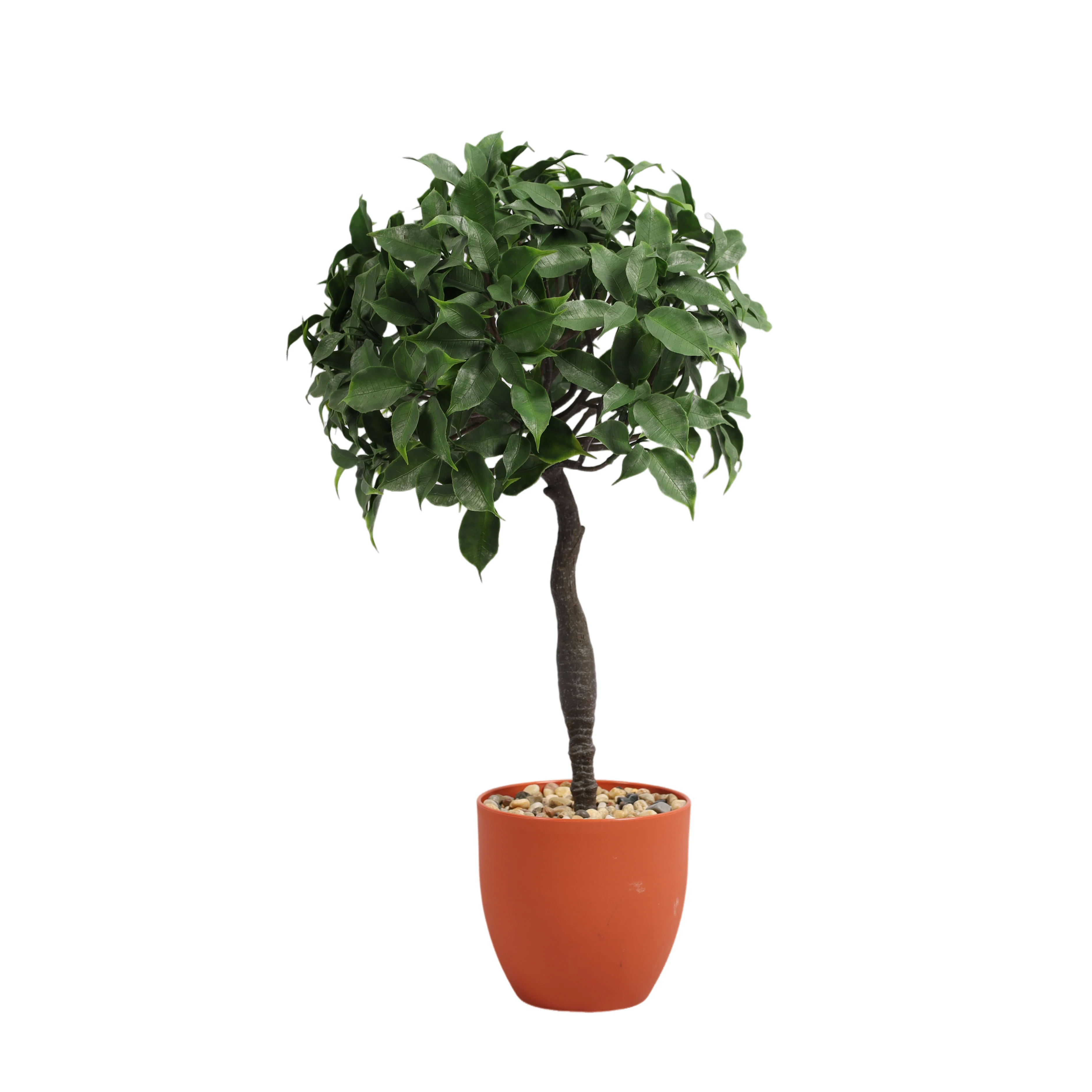 HXGYZP Artificial Ficus Tree Faux Plant Potted Fake Ficus With Plastic Pot Bonsai Tree For Office Home Indoor Outdoor Decor