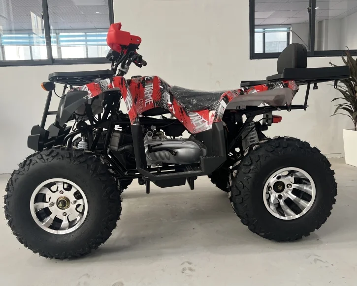 High Quality 200cc Automatic ATV CE Certified Quad Bike for Adults with 4Stroke Air-Cooled Motor Chain Drive Transmission System