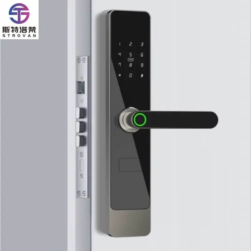 Smartlock  Connected Aluminum Alloy Smart Lock APP  for Wood Door Features Cloud Data Storage Memory Card Option
