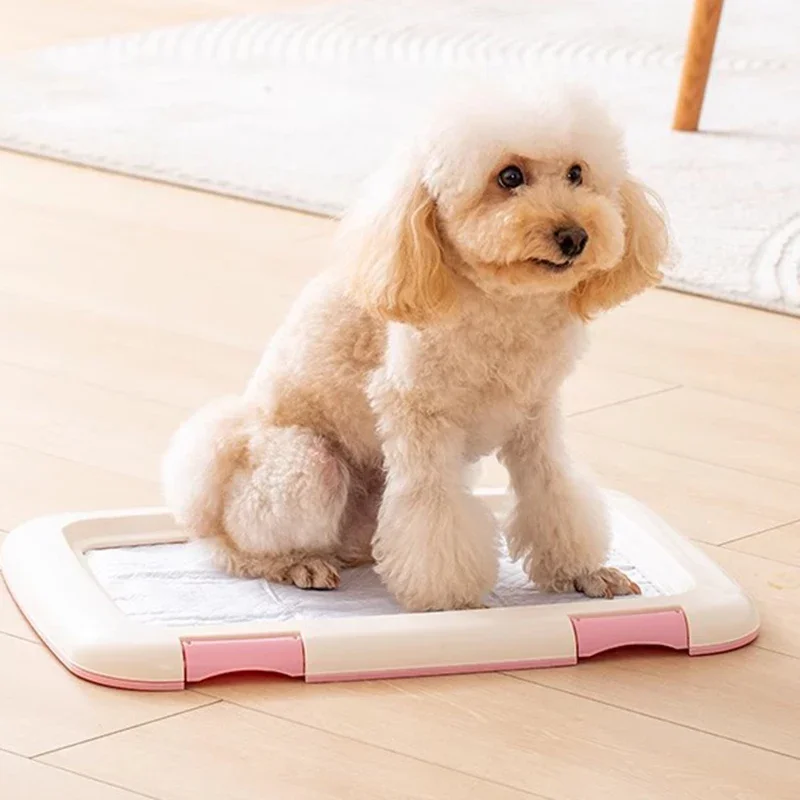 

Отпугиватель, средства для чистки собак, плунжер для лап, чистая подкладка, чаша для мытья собак, товары для чистки дома, стотуалета, товары для собак