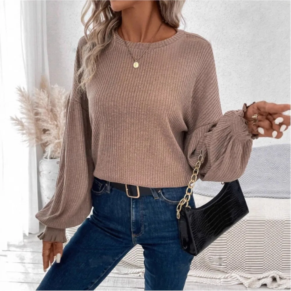 Casual Solid Color Round Neck Long Sleeve Loose T-shirt For Women Simple Style All-match Commuting Casual Trendy Comfortable