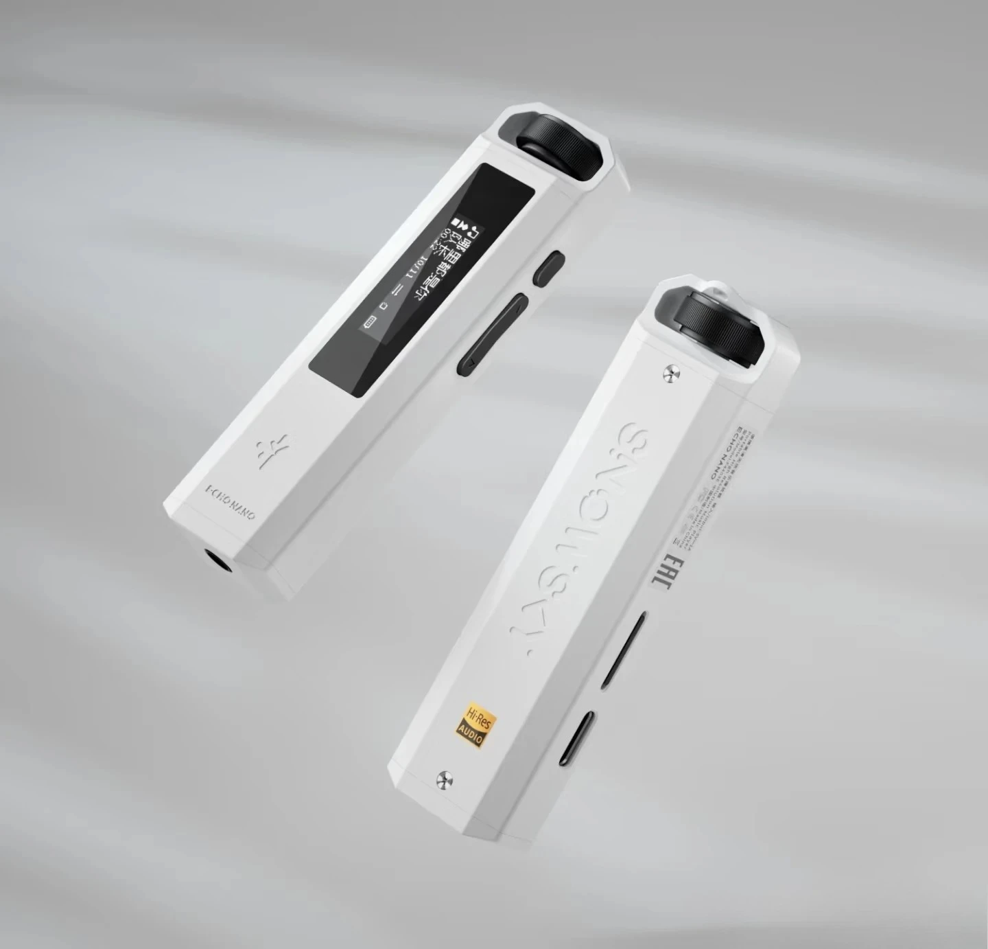 FiiO NANO SnowSky ECHO 휴대용 무손실 HiFi 음악 플레이어 고해상도 오디오 DAP 휴대용 MP3 음악 플레이어, 오디오 선물.