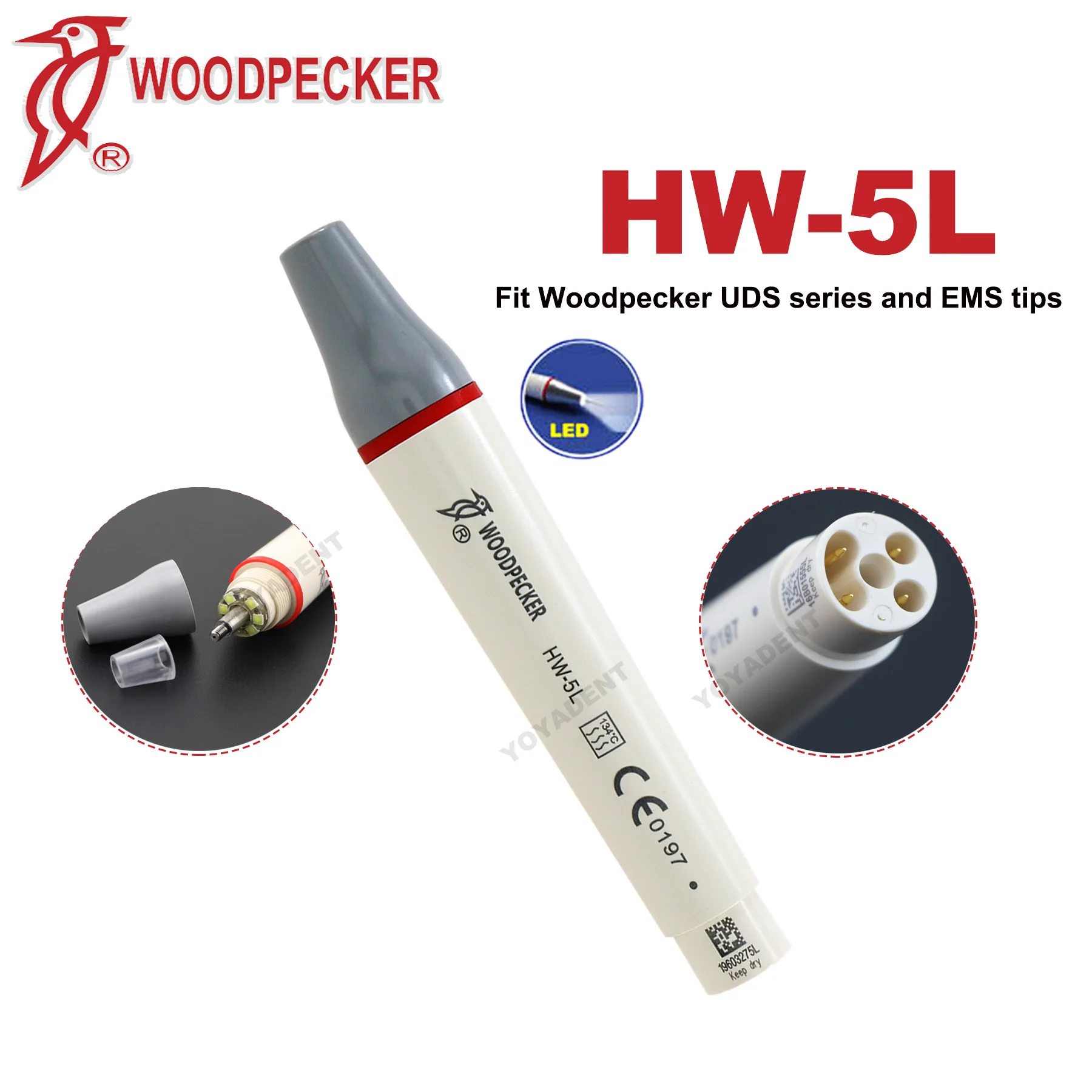 Originele Specht DTE Tandheelkundige Ultrasone Scaler Handstuk LED Licht HW-6L HW-5L HD-7L HD-7H HW-3H Fit EMS NSK SATELEC ACTEON - afbeelding 1