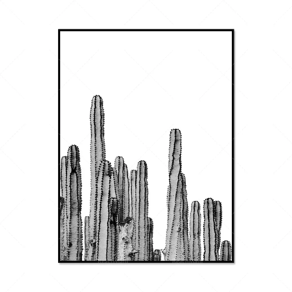 الصبار، العصارة، نباتات الصبار، ملصقات مطبوعة بالنباتات، هدايا تزيين المنزل في غرفة المعيشة