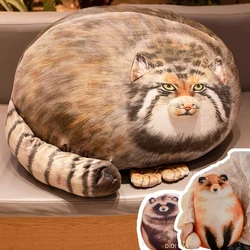 3D Printed Lifelike Pallas's Cat Chat manul Plush Pillow Stuffed Fierce Animals Hug Fox Fat Ball Raccoon Cushion Room Decor Gift