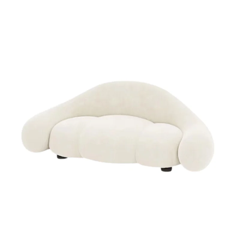 Unikalne zakrzywione minimalistyczne sofy rozkładany salon leniwy przedpokój Sofa kanapa ergonomiczny Salon De Jardin meble amortyzowane WXH30XP