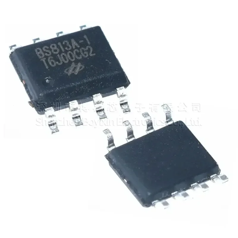 BS813A-1 BS813A USB gadget