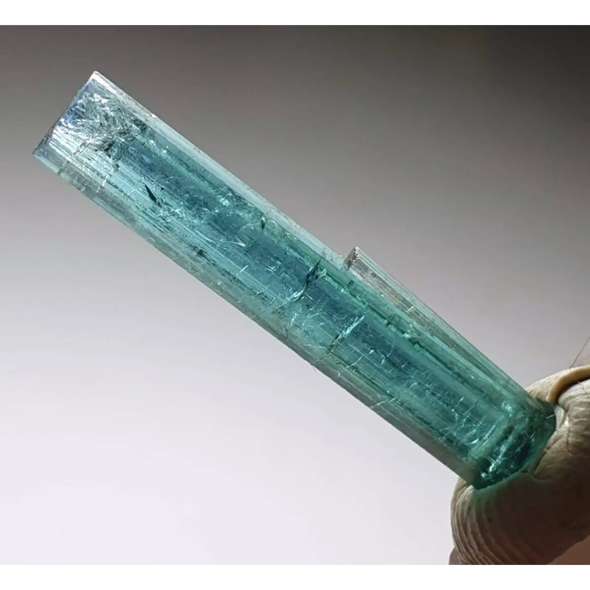 Brazilian Elbaite Rough Crystal Assortment, 10g 5-15mm Random Colors, Display Box for Desk Decor & Natural Stone Collection