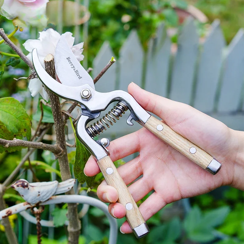 

Horticultural forest horticultural pruning scissors coarse branch special fruit tree potted floral scissors stainless steel