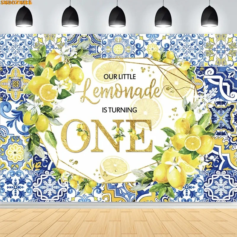 الأزرق سيراميك الليمون خلفيات للتصوير الفوتوغرافي الدعائم استحمام الطفل حفلة عيد ميلاد العروس الزفاف استوديو الصور خلفية OB-01