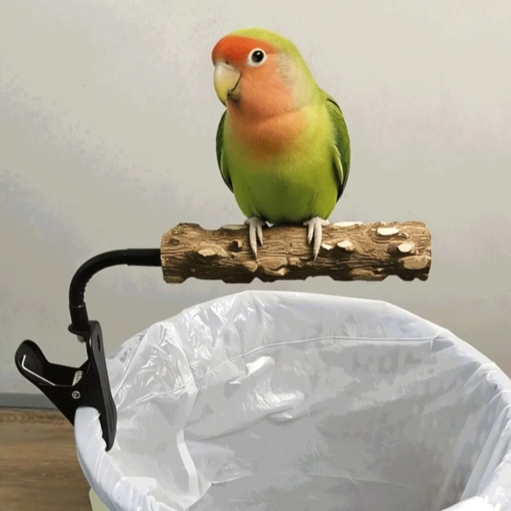 #18 Trending Bird Perch Stands Right Now