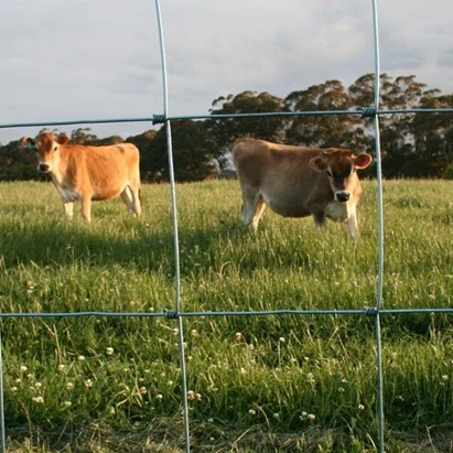 50 Meters Farm Agricultural Cow Sheep Fencing Deer Fence 8ft