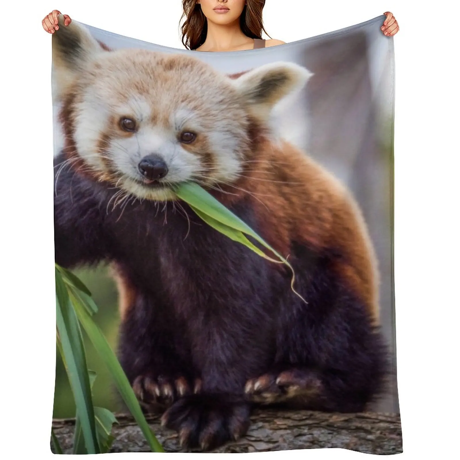 Red Panda Throw Blanket Thin Multi-Purpose Luxury Brand christmas gifts Blankets