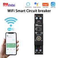 RMshebei 1P 63A 110V Smart Life WIFI Electricity Meter Timer 6ka Circuit Breaker Remote Control Voltage Current Leakage