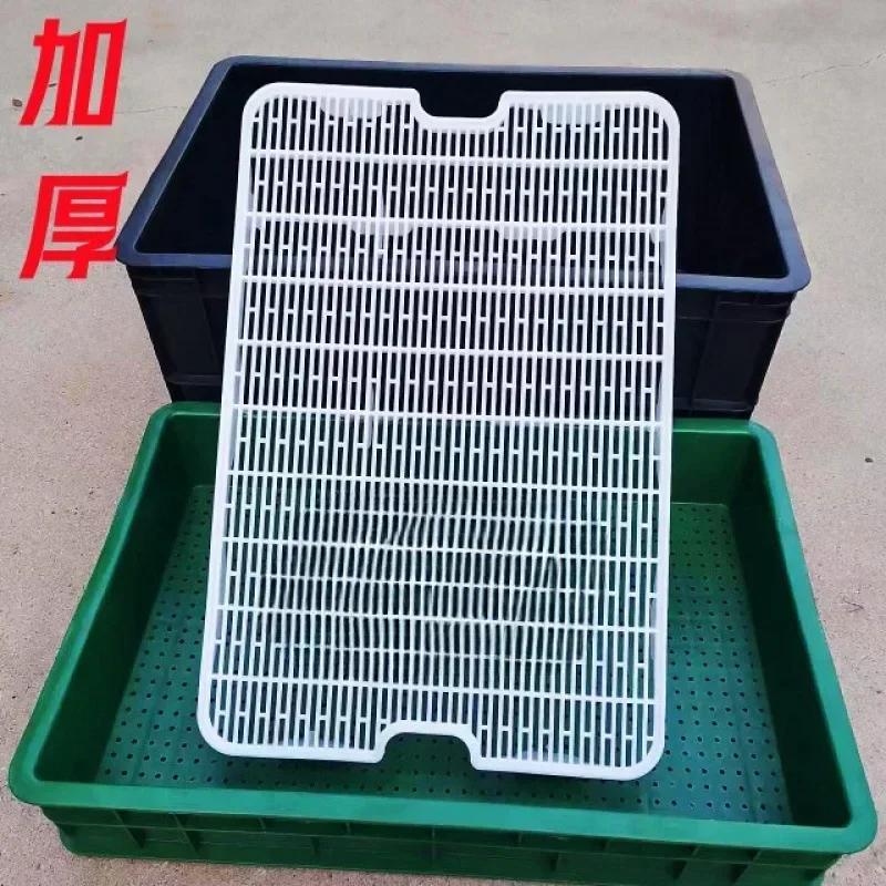 

Home Garden Seedling Growth Gardening Tools Plant Development Care Baskets Boxes for Sprout Care