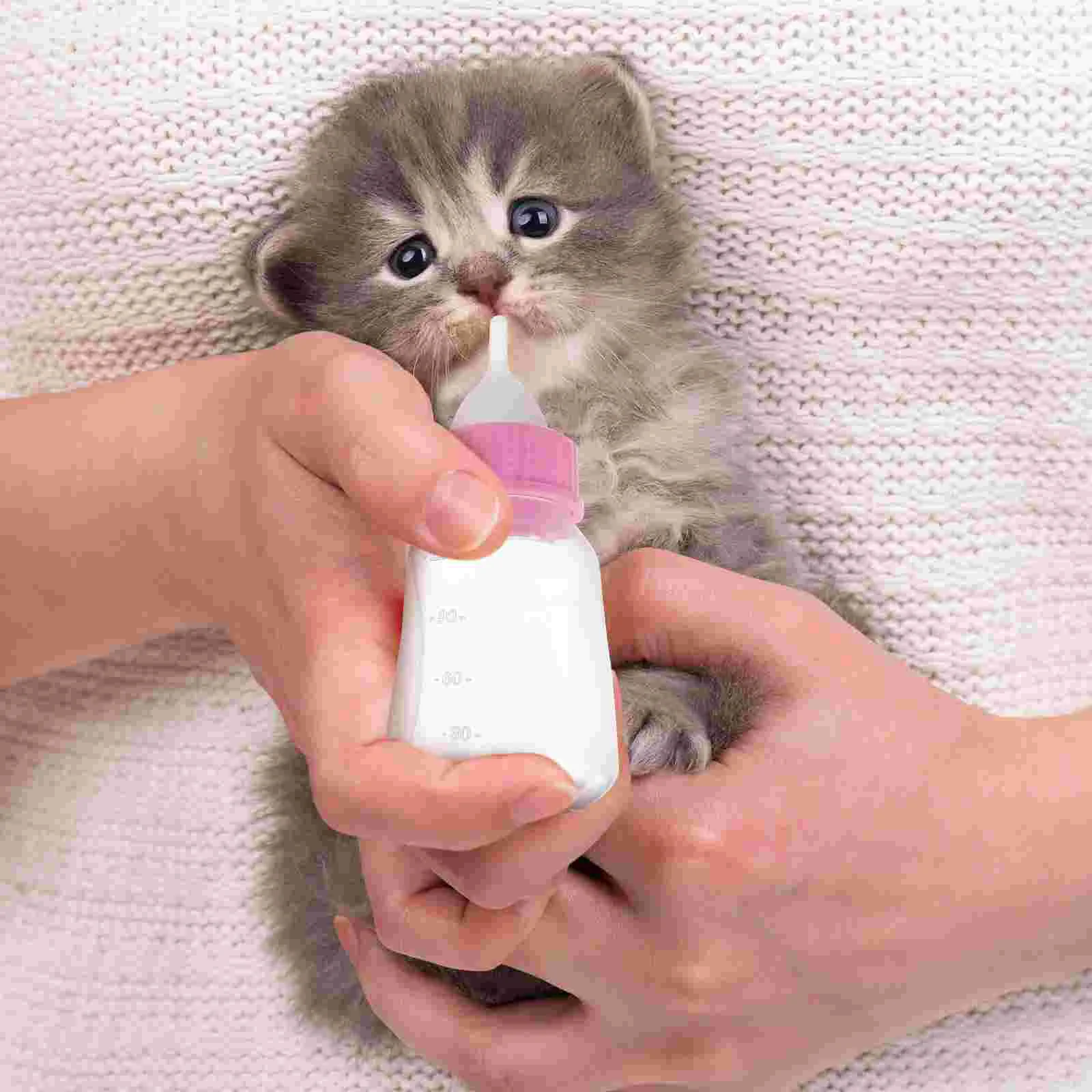 애완 동물 수유 장치, 120 ml 우유 병, 고양이 수유 키트, 강아지 수유, 신생아 물 핑크