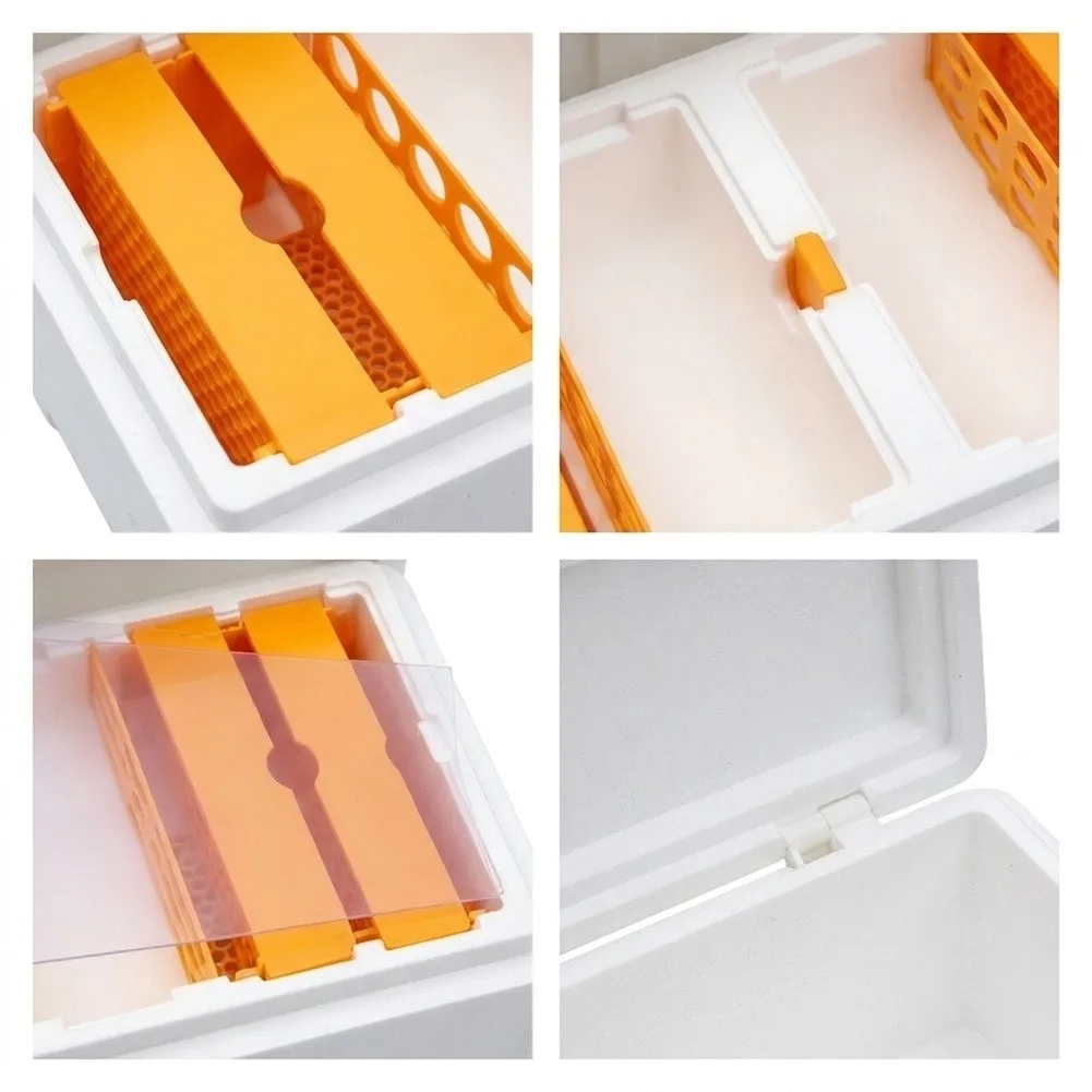 Queen Bee Cultivation Box - Thermal Insulated Foam Housing with Multi-Chamber Design for Controlled Queen Rearing and Mating
