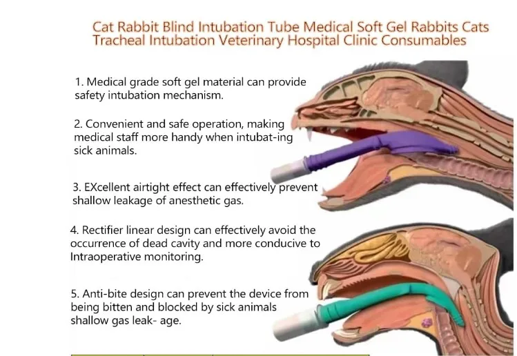 5pcs/set Cat Dog Rabbit Blind Intubation Tube Animal Use Soft  Tracheal Intubation Tube