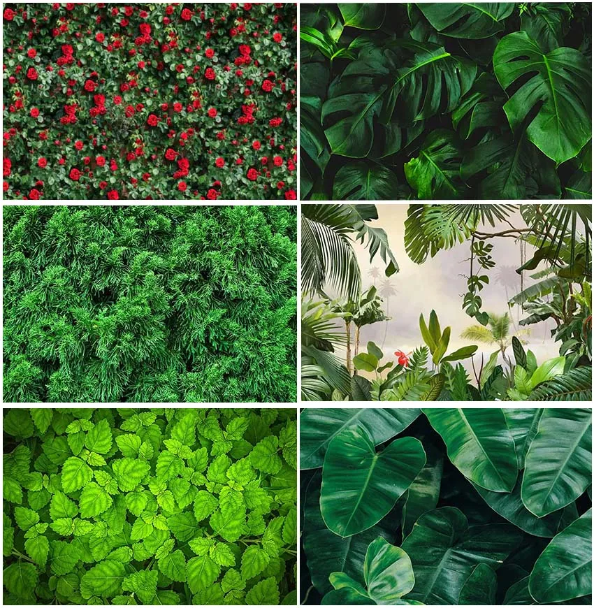 Photographic Spring Tropical Jungle Palms Leaves Lawn Backdrops Birthday Baby Shower Natural Floral Wedding Decor Backgrounds