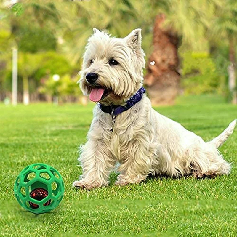 Dogs Interactive Soft TPR Toys Teeth Cleaning Anti Bite Bell Pet Toys for Puppy Indoor Playing Training Supplies Dog Ball