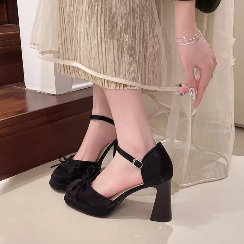 

High Heels Women's Shoes Summer 2026 New Coarse Heel Shoes for Skirts Single Shoes