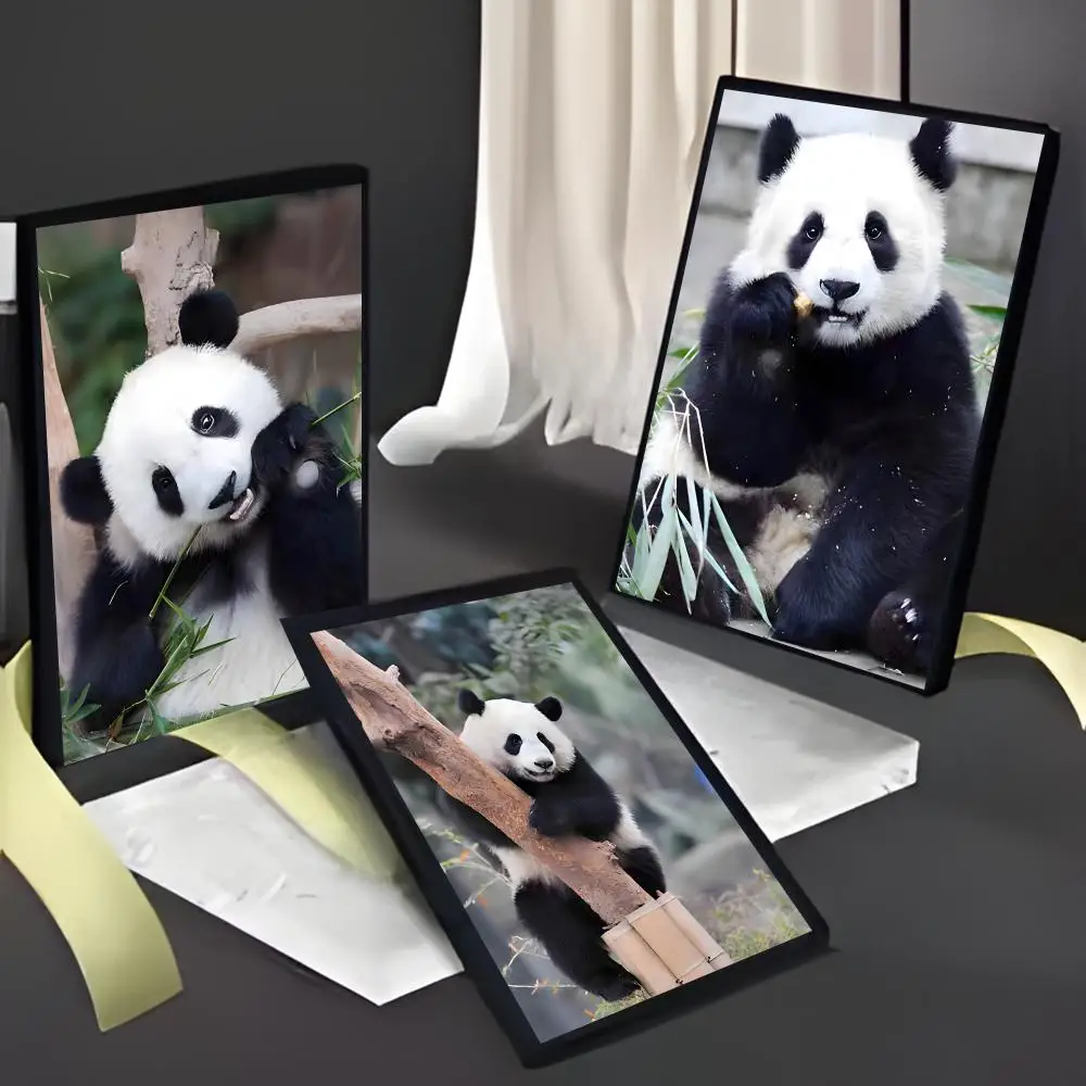 Cute Fluffy Chinese Baby Panda Print Animal BAOLI HUANHUAN Poster American Film Mural Home Childrens Room Wall Decor Print