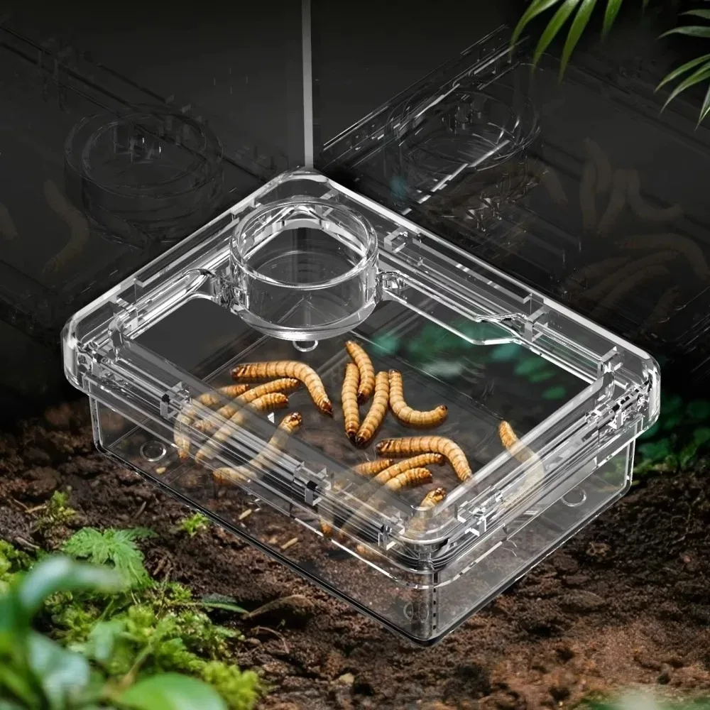 Comedero transparente antiescape para reptiles – Tazón de comida para lagartos y geckos, evita que el tenebrio molitor y la dubia se escapean