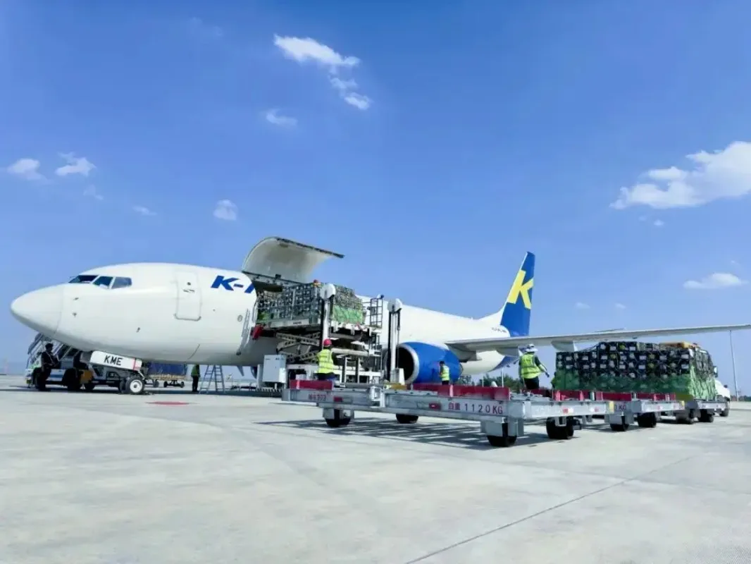 

Special link for the designated product to make up the price difference