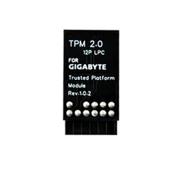 TPM 2.0 Encryption Security Module Remote Card Windows 11 Upgrade LPC TPM2.0 Module 12 Pin for GIGABYTE Motherboards, B