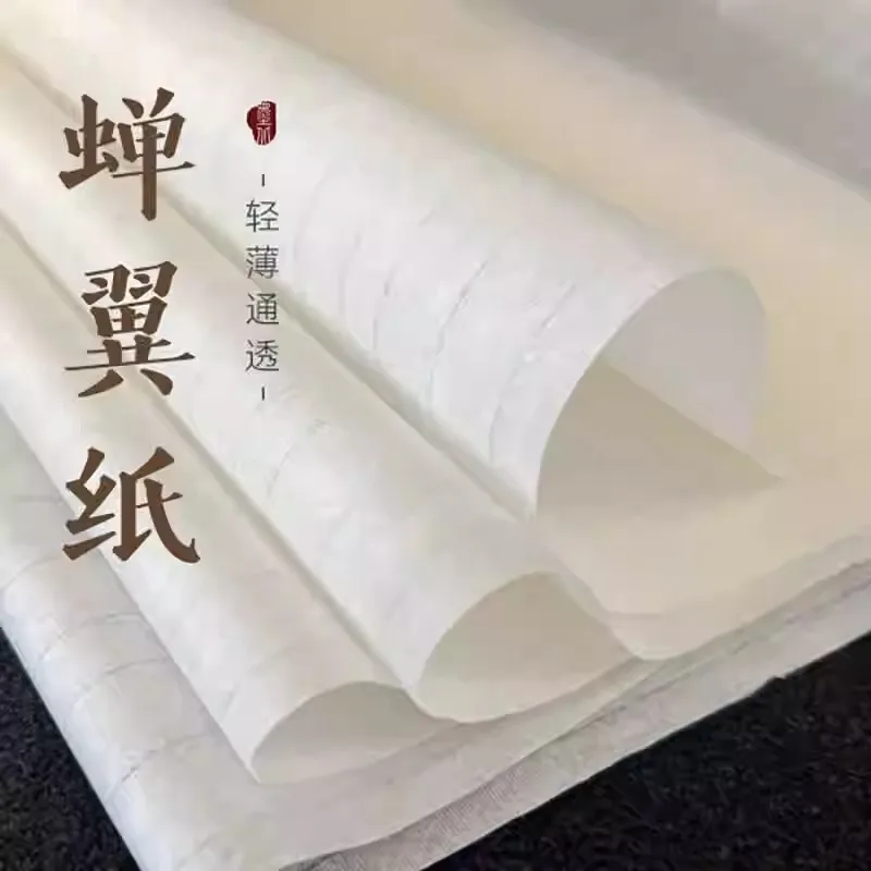 

White Cicada Wing Xuan Paper Roll - Ultra-Thin Pearl Mica Fully Sized Rice Paper for Chinese Calligraphy & Gongbi Painting