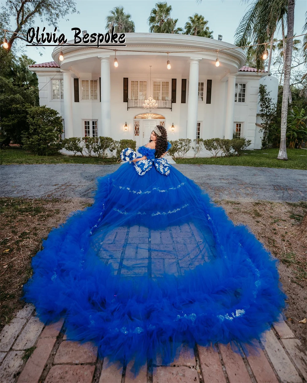 

Gorgeous King Blue Bow 15 Quinceanera Dress 2024 Silvery Bead Applique Ball Gown With Tulle Ruched Train Wedding Gown Customized