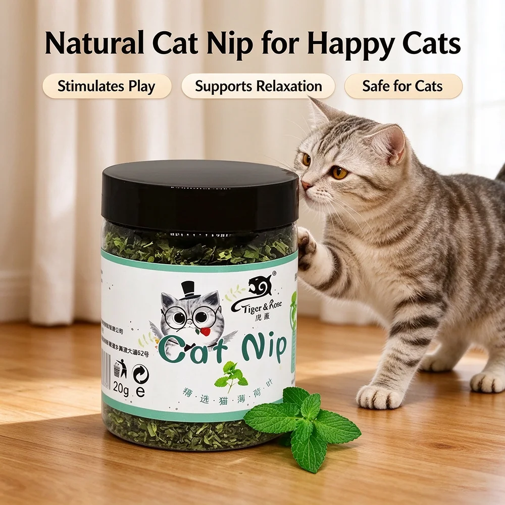 100% Natural Catnip Leaves Jar Premium Cat Nip for Cats, Kitten Interactive Toy Refill, Help Relax Cat & Clean Teeth