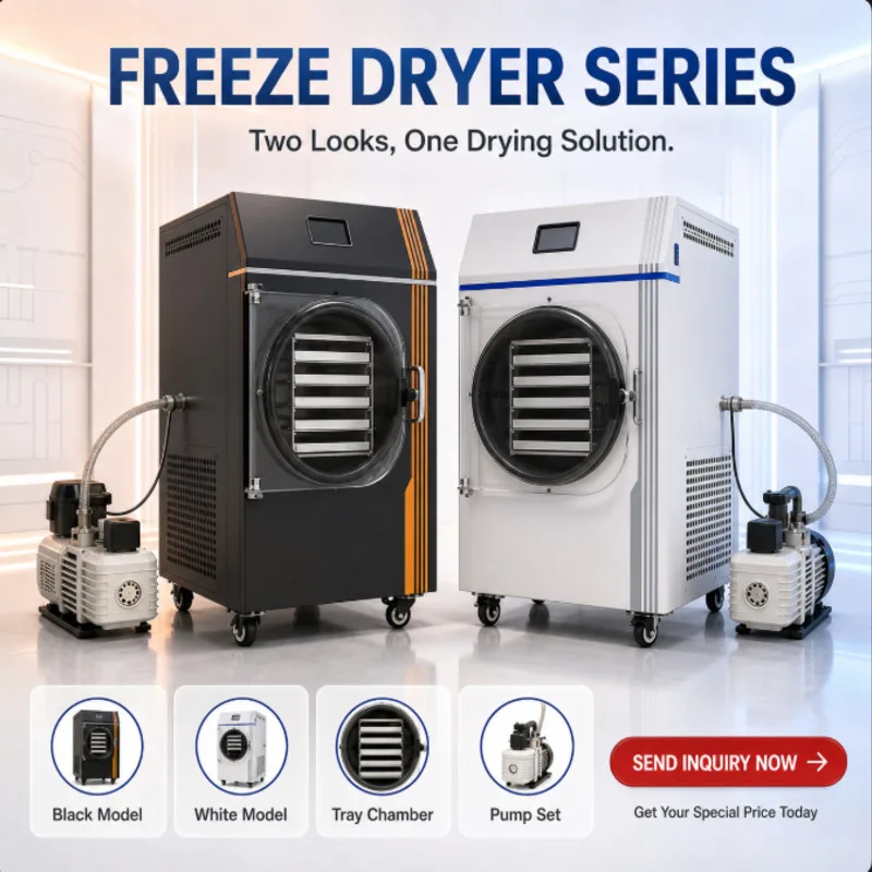 110V/220V Household 10Lbs Freeze Dryer Mini Food Lyophilizer For Personal Use And Small Business Starners