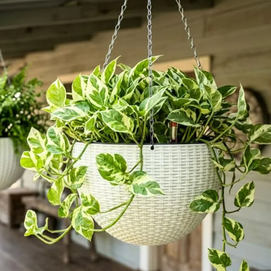 

Indoor/outdoor hanging planters for balcony and porch gardens: white rattan-style self-watering round pots with water level ind