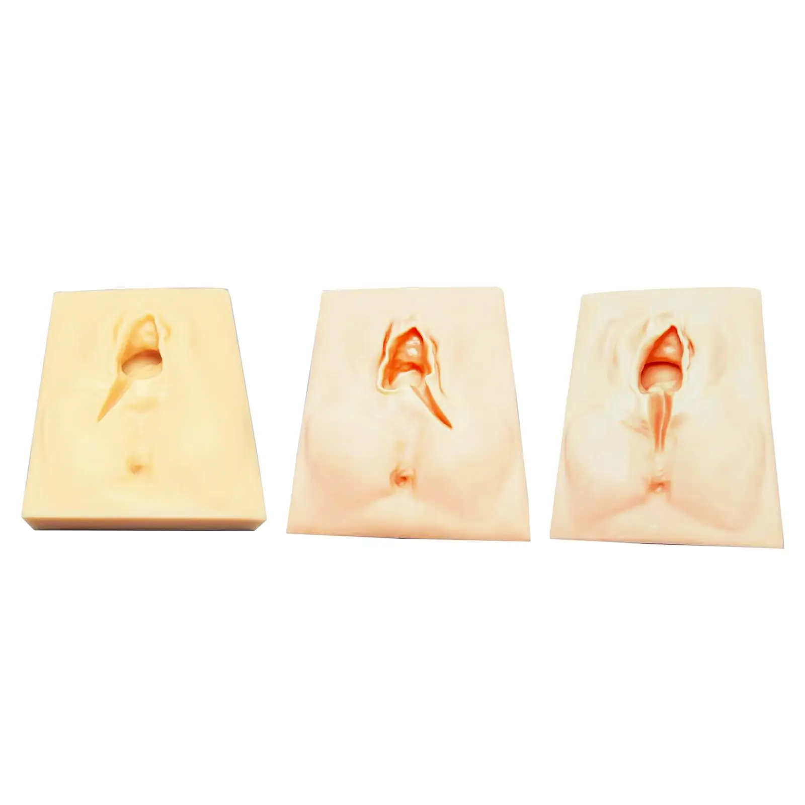 Perineal Practice Suturing Simulator Fittings Accessories Silicon Professional