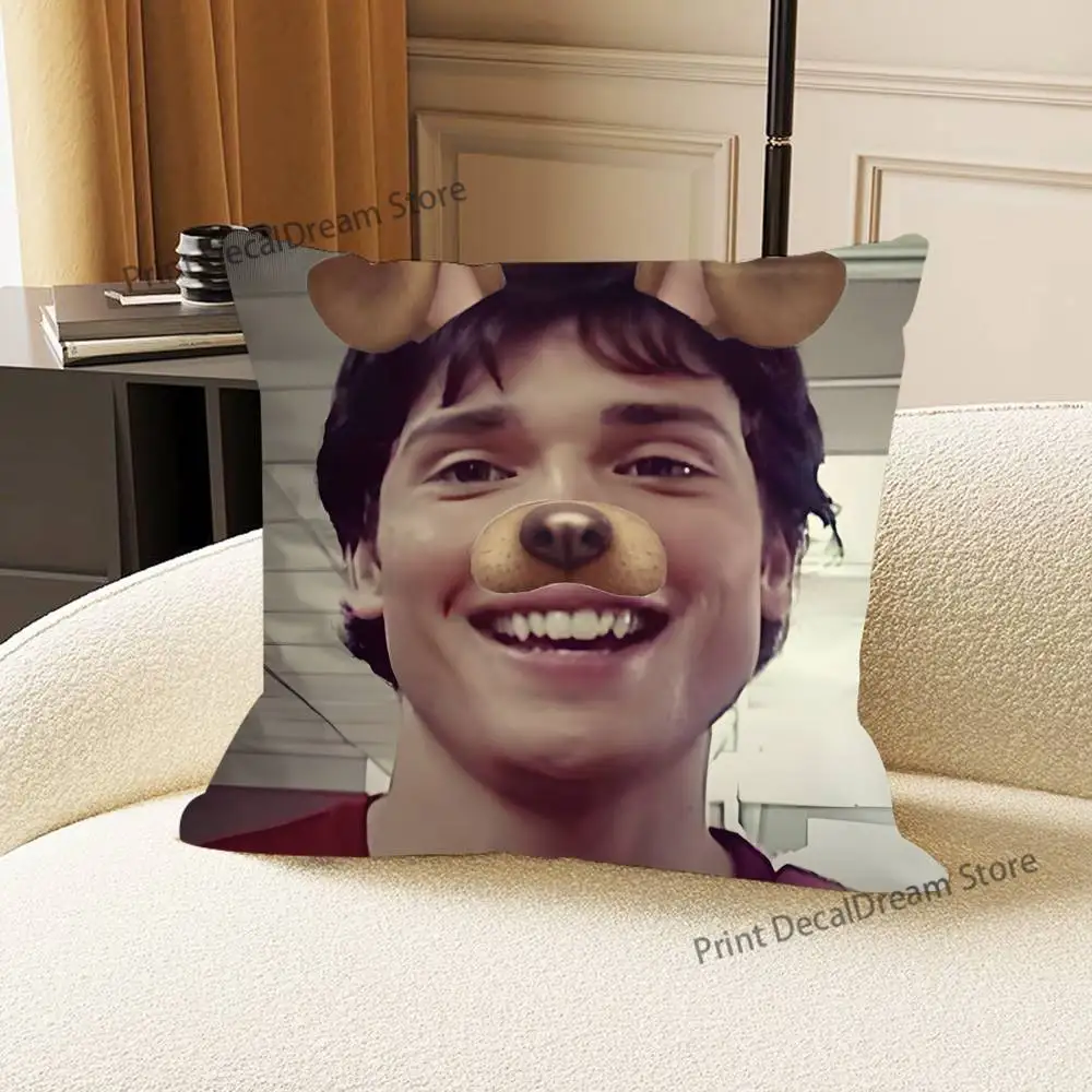 T-Tom Welling Kissen für Schlafzimmer, Auto, Café, Zimmer und Wohnzimmer, Sofa, dekorativer Kissenbezug – Detail 6