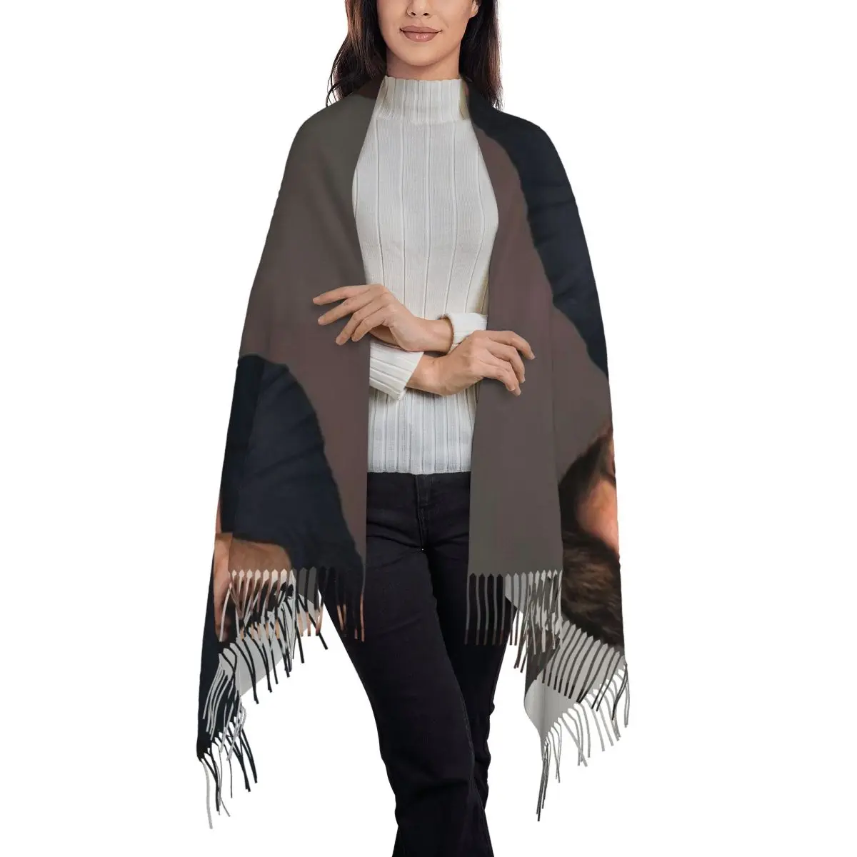 Chayanne Dance With Me Scarf Tassel Scarves for Women Soft Warm Shawls and Wraps Large Fall Winter Shawl Wrap