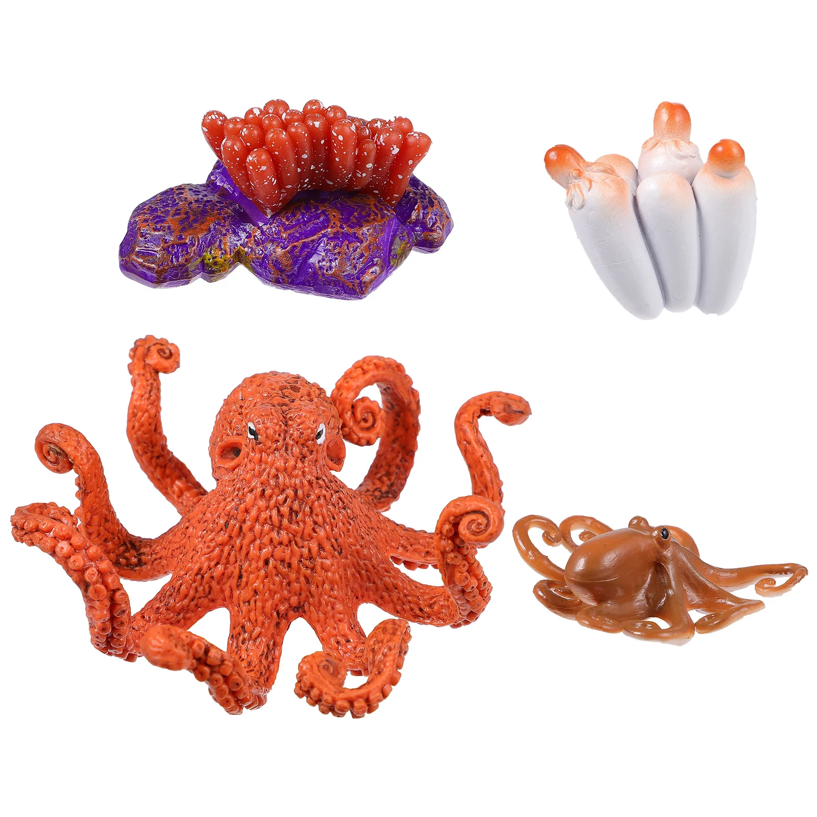 

1set 1Set Octopus Growth Cycle Handicraft Educational For Kids Science Learning Home Decoration Animal Evolution Display