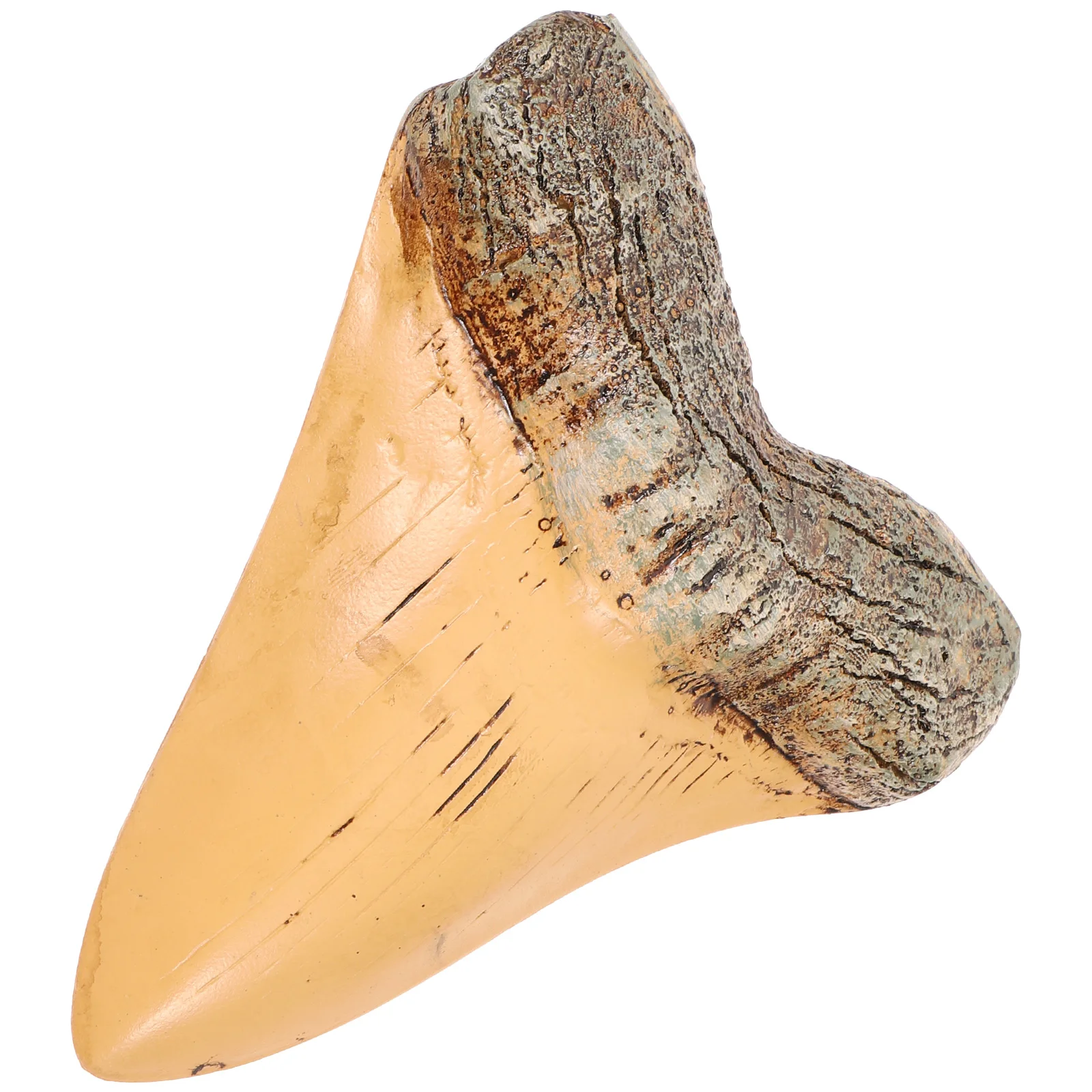 

Retro Ornament Decoration For Collection Education Desktop Decor Collections Crafts Resin